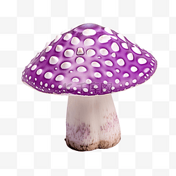 蘑菇紫色斑点