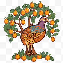 橘树上图片_梨树上的鹧鸪 向量
