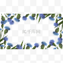 花卉花草装饰图片_蓟花卉水彩边框
