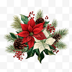 圣诞花卉小插图与一品红和松枝