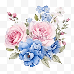 水彩美丽的粉色和白色玫瑰花毛茛