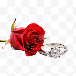 红玫瑰金图片_红玫瑰搭配优雅钻戒