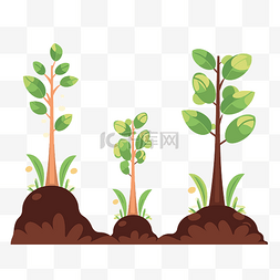 生长剪贴画 三株植物以平面卡通