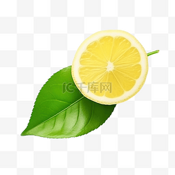 柠檬叶分离 png 文件格式