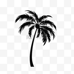 棕櫚樹图片_棕櫚樹剪影