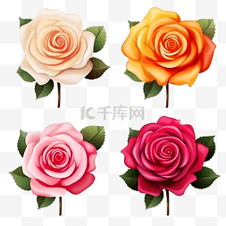 玫瑰花逼真，具有不同的颜色和形