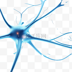 蓝色生物细胞图片_神经细胞
