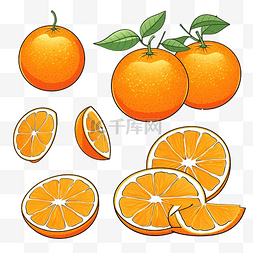 橙色水果轮廓 插图