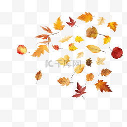 秋季落叶风景图片_秋天的混合叶子感恩节秋叶飘落秋