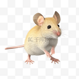 鼠光标手图片_鼠标 3d 插图
