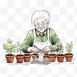 奶奶在菜园里种植之前在花盆里摆
