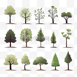 手绘植物生长过程图片_简约风格的树木和地面插图
