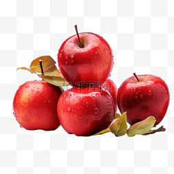 苹果图片_秋天户外的红苹果