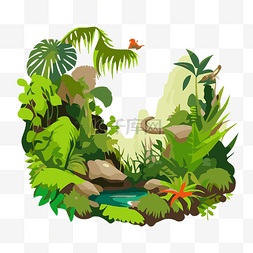 卡通雨林图片_熱帶雨林 向量