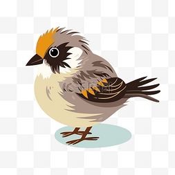 麻雀剪贴画可爱的小鸟，灰色和棕