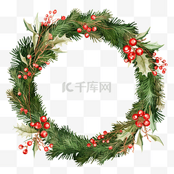 圣诞冬青树图片_圣诞花圆框，有枞树和冬青树