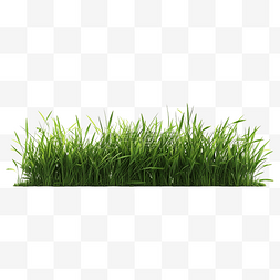 新鲜的绿草侧视图生成ai生成