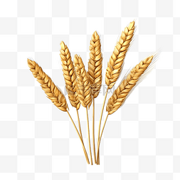 3d 插图小麦在自然中的设置