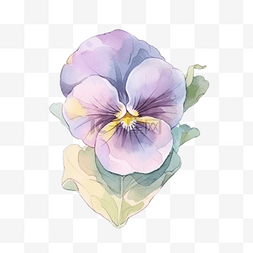 紫色三色堇花水彩风格装饰元素