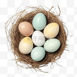 蛋装饰品图片_巢顶视图中的复活节快乐蛋
