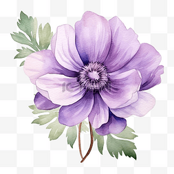 紫色花水彩画装饰元素