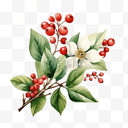 受欢迎欢迎图片_明亮的水彩圣诞贺卡与雪莓