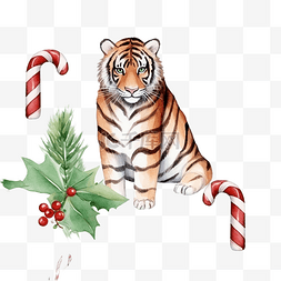 圣诞冬青树图片_水彩无缝圣诞图案与老虎冷杉树糖
