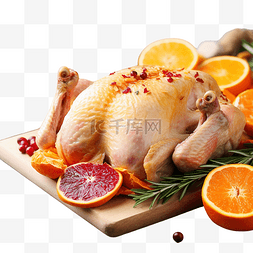 鸡精原料图片_圣诞节生鸡肉配橙子和蔓越莓