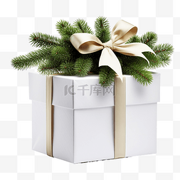 手工手工图片_礼品盒和圣诞树枝隔离在白色