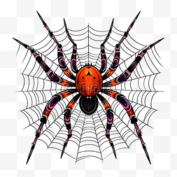 可爱昆虫插画图片_万圣节蜘蛛网动物昆虫插画矢量剪