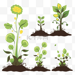 生长剪贴画各种植物在土壤中的小