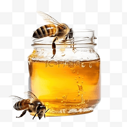 蜂蜜罐子图片_罐子里的蜜蜂