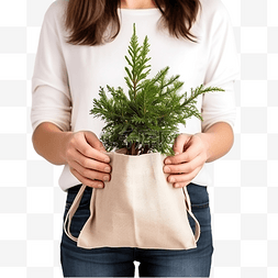 画展手提袋设计图片_女孩手中有小圣诞树的帆布包 杜