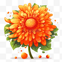 橙花 向量