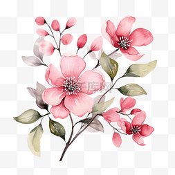 有质感的花图片_粉紅色的水彩花