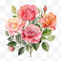 白色花瓣玫瑰图片_一束玫瑰水彩插图