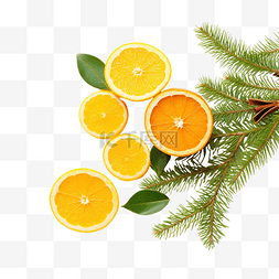 高清橙子图片_美味的果酱橙子和柠檬片和圣诞树