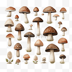 蘑菇林图片_水彩蘑菇棕色森??林