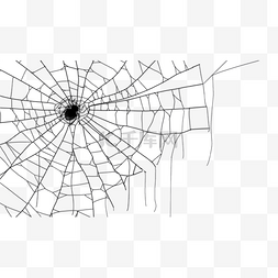 蜘蛛网横图黑色写实
