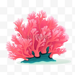 可爱的海珊瑚