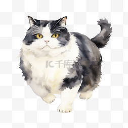 手绘猫黑色图片_一只黑白胖猫行走的水彩画