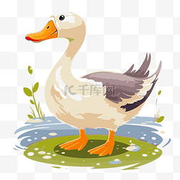 鹅剪贴画卡通鸭子站在水中 向量