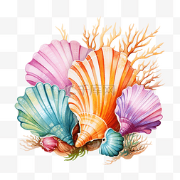 海星彩色图片_彩色热带贝壳与珍珠水下插图