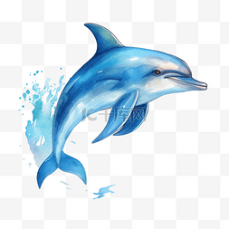 海豚插画 海洋生物 动物插画