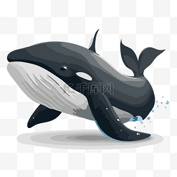 黑鯨 向量