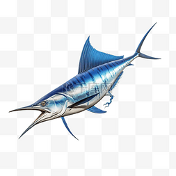 蓝马林鱼跳跃