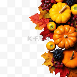 秋天和感恩节收获的概念