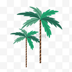 两棵椰子树植物