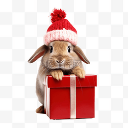 红色的圣诞礼盒图片_戴着红帽和红围巾的可爱兔子，带