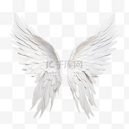 灵性背景图片_天使的翅膀 羽毛 白色